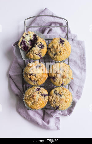 Ein kleiner Draht Rack und Serviette mit sechs blueberry muffins Stockfoto