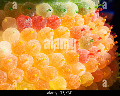 Obst Marmelade auf Sticks im Store. Stockfoto