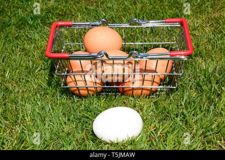 Braune und weiße huhn eier in einem Warenkorb auf dem Gras mit einem Ei in den Vordergrund, UK. Stockfoto