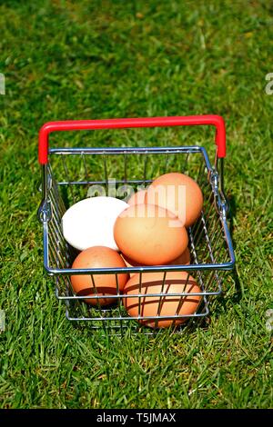 Braune und weiße huhn eier in einem Warenkorb auf dem Gras, Großbritannien. Stockfoto
