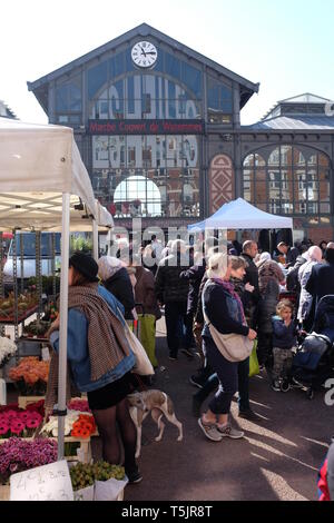 Marché de Wazemmes (Lille) Frankreich Stockfoto
