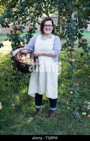 Frau mit Schürze Holding braun Weidenkorb mit frisch gepflückten Äpfel, lächeln in die Kamera. Stockfoto