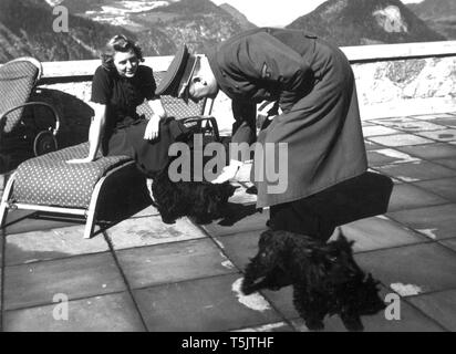 Eva Braun Sammlung (dvadvadaset) - Adolf Hitler petting Eva Brauns Scottish Terrier hunde Ca. 1930s oder 1940s Stockfoto