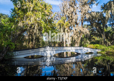 USA, South Carolina, Charleston, weiße Brücke in einem Teich im Magnolia Plantation widerspiegelt Stockfoto