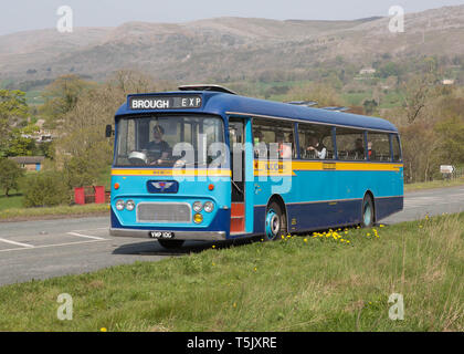 1969 AEC Vertrauen Trainer auf eine erhaltene Bus Service zwischen Brough und Kirkby Stephen, Cumbria, Großbritannien Stockfoto