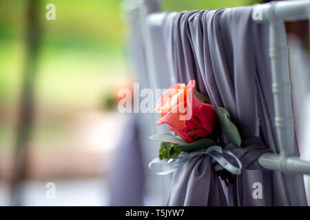 Dekoriert Hochzeit stuhl mit rosa Rose. Rosa Rose auf der Rückseite des Lehrstuhls für Hochzeit gebunden. Stockfoto