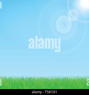 Frühling und Sommer Design mit Sonnenschein und Gras. Blauen Himmel im Hintergrund. Vector EPS 10. Stock Vektor