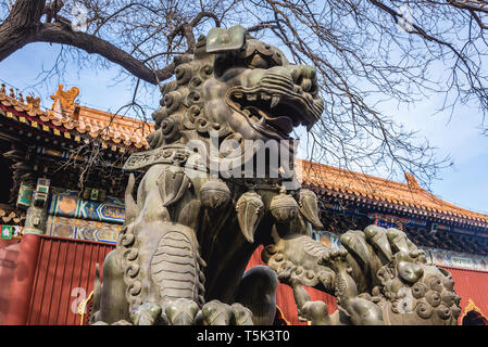 Weibliche Wächter Löwe mit Cub in Yonghe Tempel namens auch Lama Tempel der Gelug-schule des tibetischen Buddhismus in Dongcheng District, Beijing, China Stockfoto