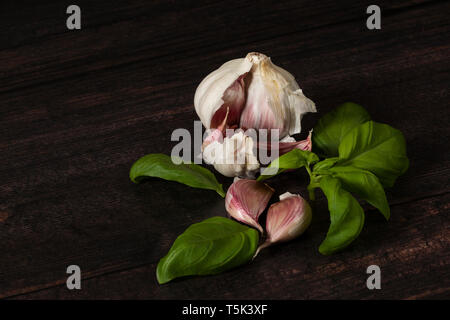 Knoblauch Zwiebel und Knoblauchzehen mit Basilikum auf dunklen Kammer Stockfoto