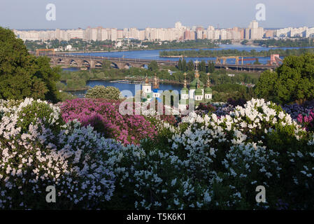 Stadt Kiev (Kyiv) - die Hauptstadt der Ukraine. Botanischer Garten mit blühenden Flieder. Ansicht des Vydubychi Kloster und des Flusses Dnjepr. Sonnig Stockfoto