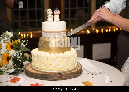 Hochzeitstorte, 3 Tier Hochzeit Tag sitzen auf Kuchen stehen auf einen Tisch warten, von Braut und Bräutigam zu schneiden. Stockfoto