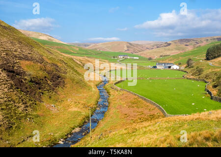 Brennand River Valley im Wald von Bowland, Lancashire, Großbritannien Stockfoto