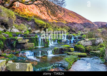 Kleiner Wasserfall in Bleadale Wasser im Wald von Bowland, Lancashire, Großbritannien Stockfoto