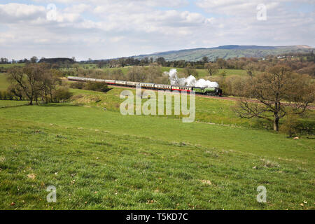 60163 Tornado Köpfe entlang der Ribble Valley mit einem UK Railtours Reise. Stockfoto