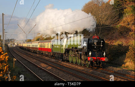 60163 Köpfe Vergangenheit Hest Bank am 13.4.19. Stockfoto