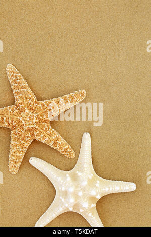 Zwei Seesterne Muscheln am Strand Sand bilden einen Hintergrund. Stockfoto