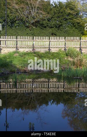 Zaun, Büsche und Bäume im Teich wider - Portrait Bild Stockfoto