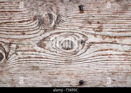 Detail eines Knoten auf Holzbrett bereit für ihr Design Fichte Stockfoto