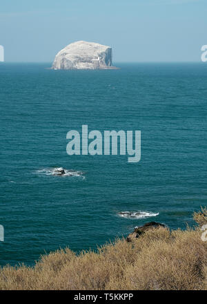 Ein Blick auf die Bass Rock von der North Berwick Küste an einem sonnigen Tag, East Lothian, Schottland Stockfoto