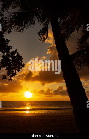 Bunte Sonnenaufgang über die Coral Sea am Kap Tributation im Daintree Region Far North Queensland mit Palmen Stockfoto