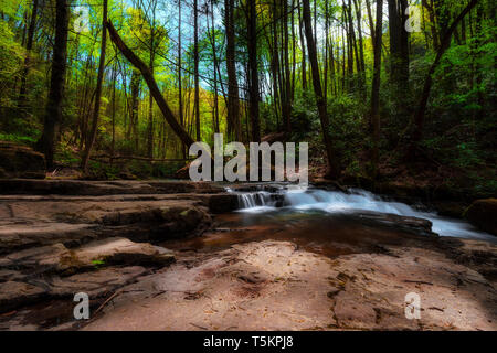 Frühling Wandern entlang Kiner Creek in Laural Run Park in Churchill Tennessee, wo man Wildblumen sehen können, fließenden Bach und Laural Run fällt ein 10 Stockfoto