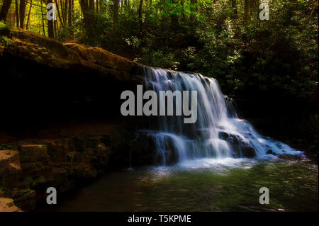 Frühling Wandern entlang Kiner Creek in Laural Run Park in Churchill Tennessee, wo man Wildblumen sehen können, fließenden Bach und Laural Run fällt ein 10 Stockfoto