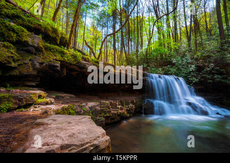 Frühling Wandern entlang Kiner Creek in Laural Run Park in Churchill Tennessee, wo man Wildblumen sehen können, fließenden Bach und Laural Run fällt ein 10 Stockfoto