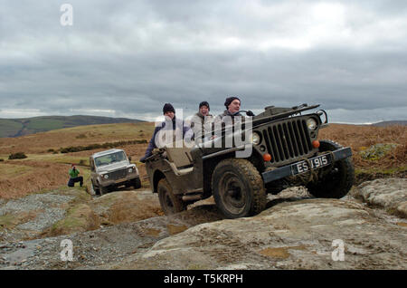 American WWII Willys Jeep und Land Rover Defender 90 auf Kennzeichen off-road über den Long Mynd, Shropshire Hills, UK. American V britische 4x4. Stockfoto