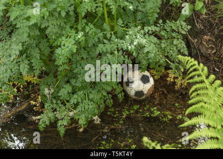Leicht entlühte Kunststoff-Fußball verloren in einem Drainagegraben. Fehlender Ball, verlorener Fußball. In unter den Unkraut Metapher, Spiel aufgegeben. Stockfoto