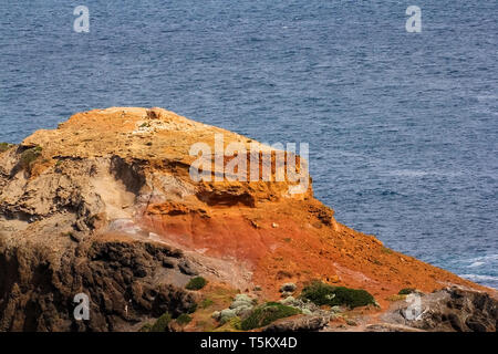 Cape Schank auf Morningside Halbinsel ist ein beliebtes Touristenziel, das für seine Schönheit und Robustheit. Victoria, Australien Stockfoto