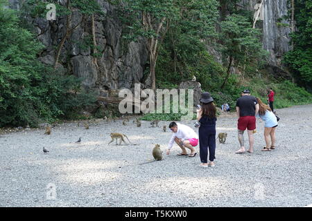 Takua Thung, Thailand. 04 Mär, 2019. Touristen feed macaque Affen im Wat Suwan Kuha, auch bekannt als Wat Tham ('Höhlentempel'). Der Komplex ist ein buddhistischer Tempel Komplex in der Amphoe (Bezirk) Takua Thung in der Provinz Phang Nga (Phangnga) im Nordwesten von Thailand. Es besteht aus mehreren Kalksteinhöhlen mit Buddha Statuen. Eine besondere Attraktion für viele Besucher sind die zahlreichen macaque Affen, tummeln sich in den Vorplatz. Quelle: Alexandra Schuler/dpa/Alamy leben Nachrichten Stockfoto