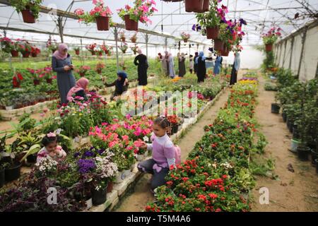 Gaza, Gaza, Palästina. 25 Apr, 2019. Palästinensische Mädchen auf Blume Gewächshaus Osten im Gazastreifen. Credit: Hassan Jedi/Quds Net News/ZUMA Draht/Alamy leben Nachrichten Stockfoto