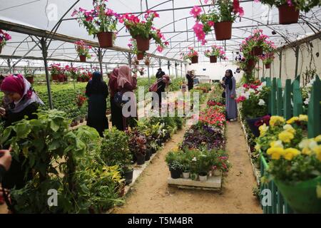 Gaza, Gaza, Palästina. 25 Apr, 2019. Palästinensische Mädchen auf Blume Gewächshaus Osten im Gazastreifen. Credit: Hassan Jedi/Quds Net News/ZUMA Draht/Alamy leben Nachrichten Stockfoto