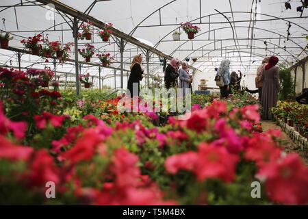 Gaza, Gaza, Palästina. 25 Apr, 2019. Palästinensische Mädchen auf Blume Gewächshaus Osten im Gazastreifen. Credit: Hassan Jedi/Quds Net News/ZUMA Draht/Alamy leben Nachrichten Stockfoto