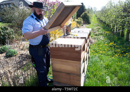 Remscheid, Deutschland. 10 Apr, 2019. Sebastian Laubach, ein Richter, steuert ein Bienenstock. In NRW, Häftlinge werden aktiv im Kampf gegen das Bienensterben. Auch im harten Jungen lernen, Verantwortung im Umgang mit "Aja" und ihre Freunde. Im Remscheider Gefängnis suchen Sie nach rund 3 Millionen Bienen, Tischler Bienenstände und Honig zu verkaufen. (An den Gefangenen dpa "Gefängnis der Bienen lehren Geduld: "Ein Fehler, ein Stachel") Credit: Federico Gambarini/dpa/Alamy leben Nachrichten Stockfoto