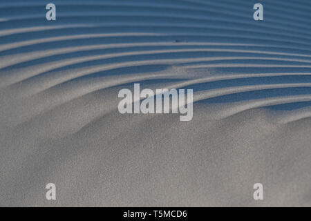 Wind weht Sand über Wellen in den Sanddünen von Magdalena Insel, Baja California Sur, Mexiko. Stockfoto