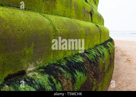 Sea Wall, Walpole Bay, in der Nähe von Margate, Kent, Großbritannien Stockfoto