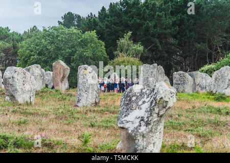 Menhir Felder in Carnac dnas der Morbihan in der Bretagne, Frankreich Stockfoto