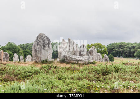 Menhir Felder in Carnac dnas der Morbihan in der Bretagne, Frankreich Stockfoto