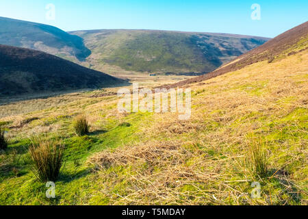 Die Langden Brook Valley im Wald von Bowland, Lancashire, Großbritannien Stockfoto