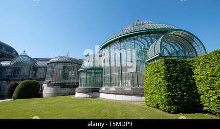 Die Königlichen Gewächshäuser in Laeken besteht aus einem Komplex von einer Reihe von Gewächshäusern und gehören das Theater Gewächshaus und Maquet Gewächshaus. Stockfoto