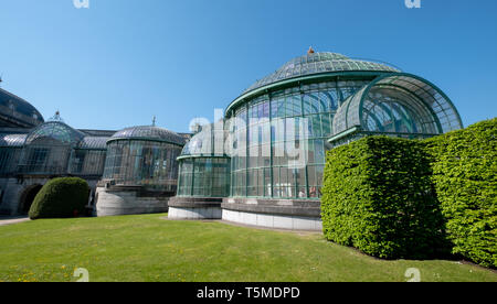 Die Königlichen Gewächshäuser in Laeken besteht aus einem Komplex von einer Reihe von Gewächshäusern und gehören das Theater Gewächshaus und Maquet Gewächshaus. Stockfoto