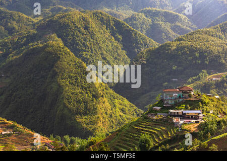 Panoramablick auf das Tal in SaPa Vietnam, Asien Stockfoto