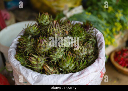 Artischocken für Verkauf an den lokalen Markt in SaPa Vietnam, Asien Stockfoto