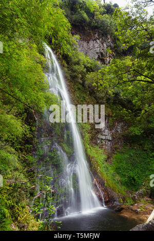 Thac Tinh Yeu, Liebe Wasserfall, in San Sa Ho Gemeinde, Sapa, Vietnam, Asien Stockfoto