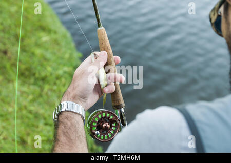Fliegenfischen auf dem See in Brasilien, junge Fischer fischen. Stockfoto