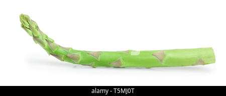 Frische Sprossen von Spargel auf weißem Hintergrund. Stockfoto