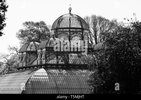 Die Königlichen Gewächshäuser in Laeken, Heimat der Königlichen Familie, bestehend aus einem Komplex von einer Reihe von Gewächshäuser einschließlich der Kongo Gewächshaus. Stockfoto