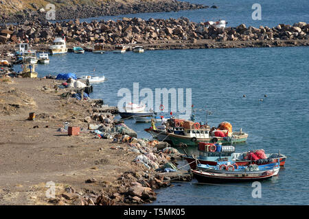 Fischerboote im Hafen Stockfoto