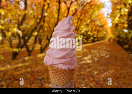 Lecker lecker schönen echten Obst Himbeere Erdbeere Vanille Eis in der Waffel Kegel mit Cherry Orchard gelben Blätter im Herbst Hintergrund in Ot Stockfoto